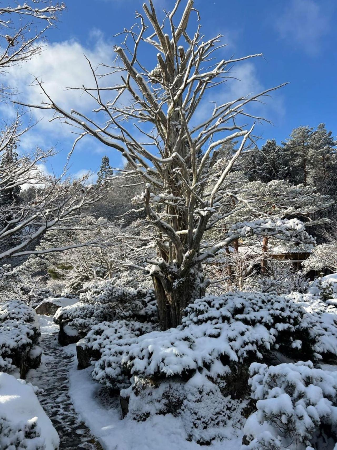 旅館 松柏園 高山市 エクステリア 写真